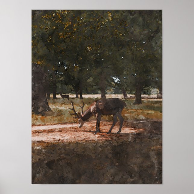 Affiche Cerf (Devant)