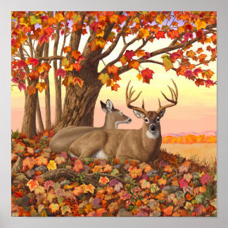 Affiche Cerf à queue blanche en automne Couleurs d'automne