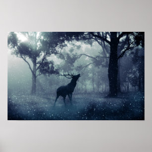 Affiche Cerf avec Antlers dans une forêt ombragée