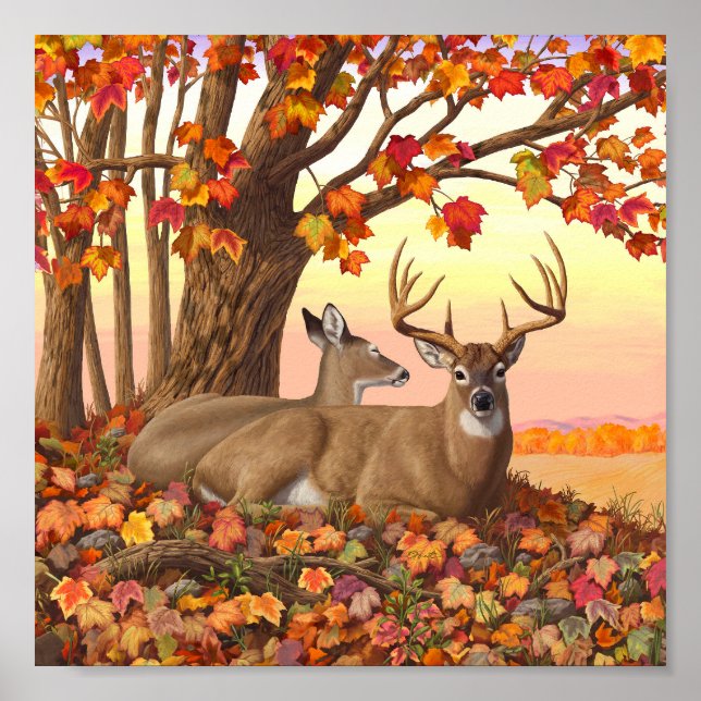 Affiche Cerf blanc en automne Nouvelle-Angleterre Couleurs (Devant)
