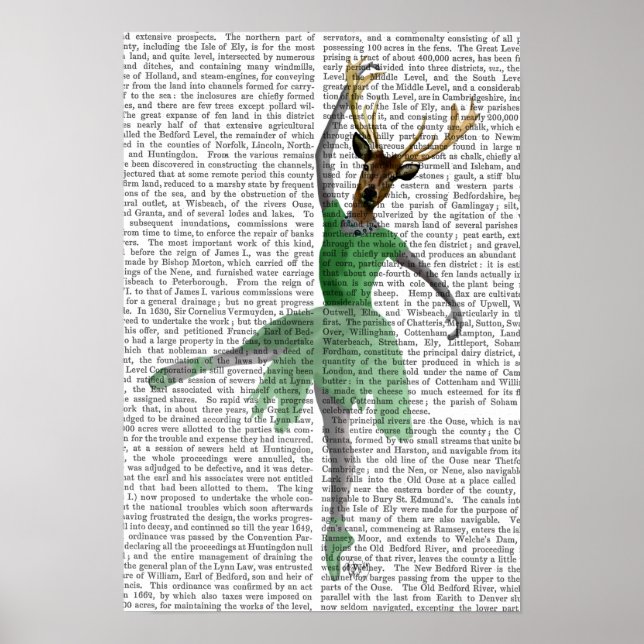 Affiche Cerf de ballet en vert (Devant)