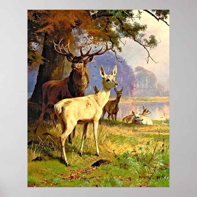 Affiche Cerf Rouge Et Blanc Près D'Un Étang De Forêt (Devant)