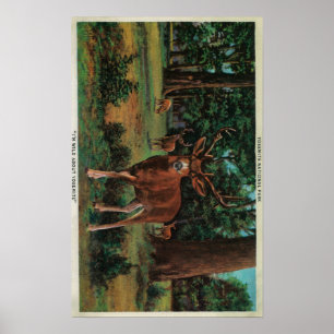 Affiche Cerfs communs de mâle au parc national de Yosemite