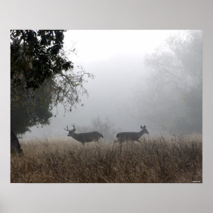 Affiche Cerfs communs en brouillard