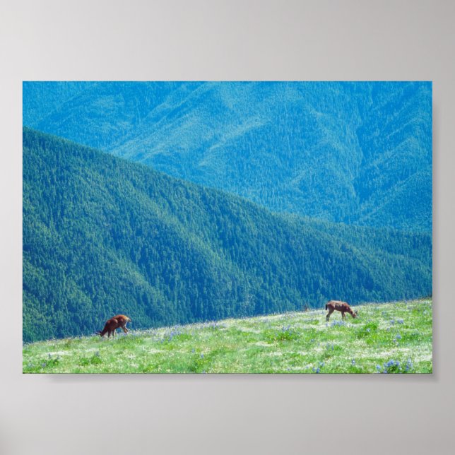 Affiche Cerfs près des montagnes (Devant)