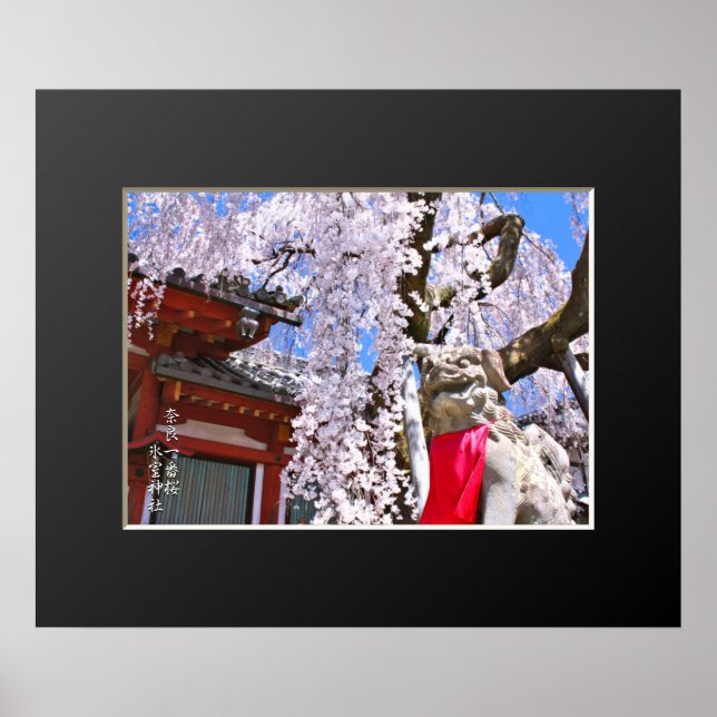 Affiche Cerisier pleureur ("Nara Ichiban-Zakura") (Devant)
