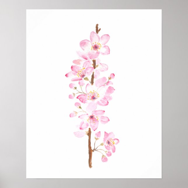 Affiche cerisier rose fleur rose sakura aquarelle (Devant)
