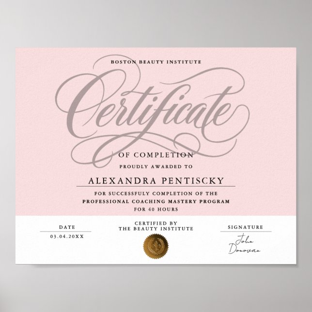 Affiche Certificat de Beauté Professionnel Rose Blush Chic (Devant)