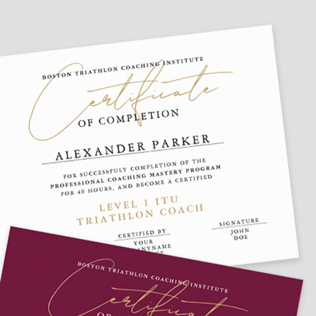 Affiche Certificat Diplôme Simple Noir Blanc Or (Créateur téléchargé)