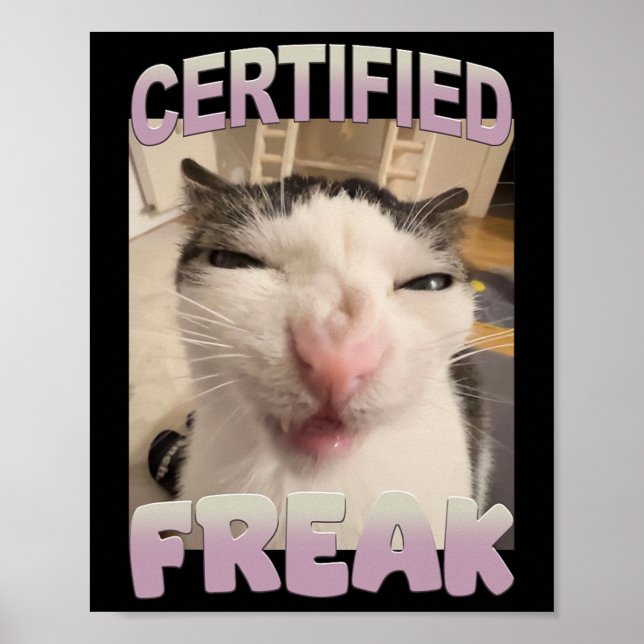 Affiche Certifié Freak Chat Mème Funny Humour animal (Devant)