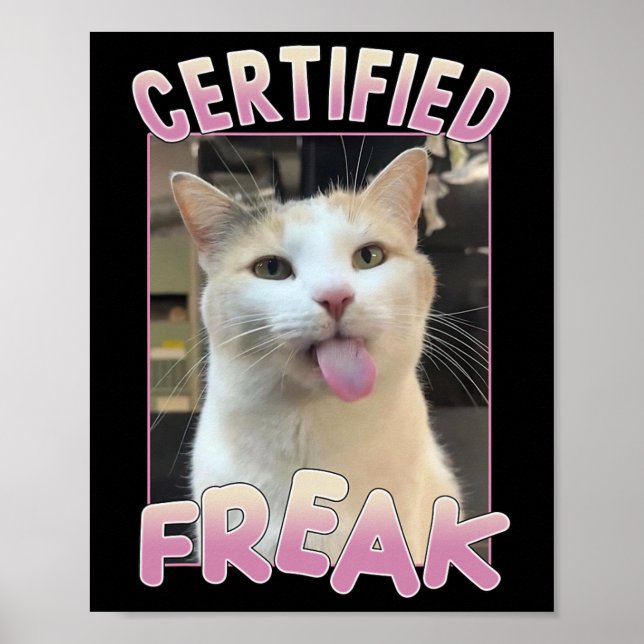 Affiche Certifié Freak Cute Chat Amateurs de mème Animaux  (Devant)