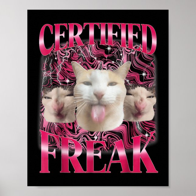 Affiche Certifié Freak Eat Cement Maudit Chat Funny Cat Me (Devant)
