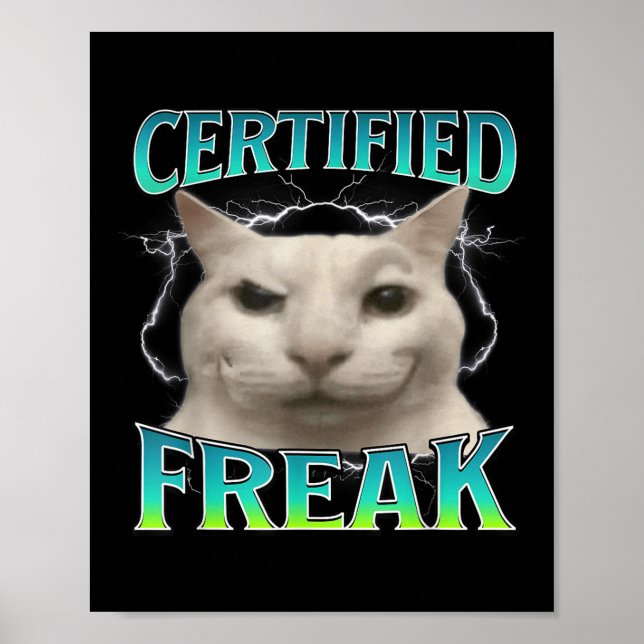 Affiche Certifié Freak Funny Chat Mème Maudit Silly Starin (Devant)
