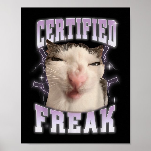 Affiche Certified Freak Eat Cement Cursed Cat Funny Cats M (Devant)