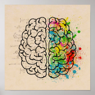Affiche Cerveau Humain Gauche Et Droite