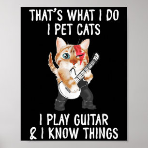 Affiche C'est ce que je fais je caresse les chats je joue