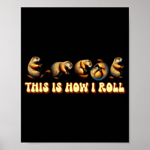 Affiche C'est comment je roule Jour de la marmotte Pour ho