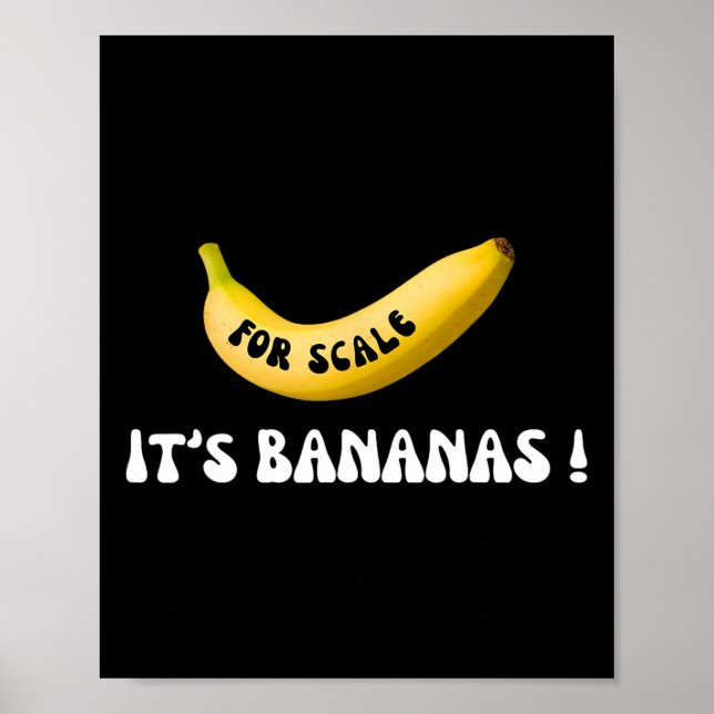 Affiche C'est de la banane pour l'échelle Starship Funny T (Devant)