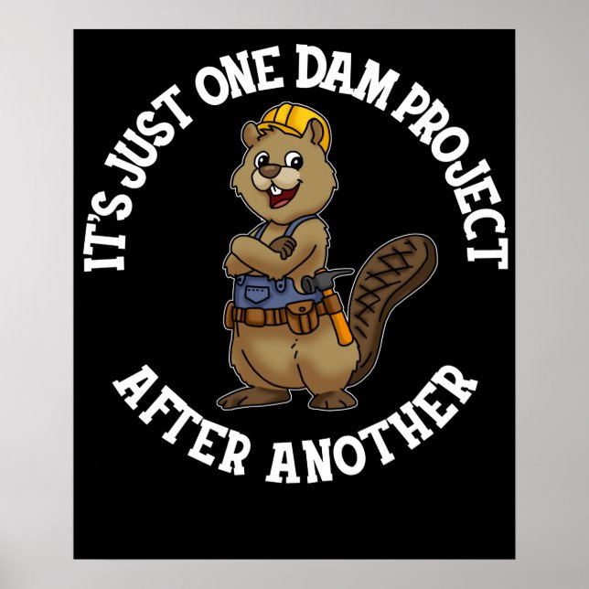 Affiche C'est juste un projet de barrage après un autre br (Devant)