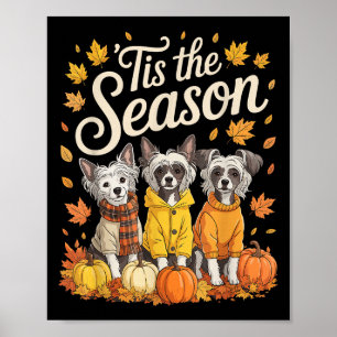Affiche C'Est La Saison Chien Craché Chinois Automne Pum A