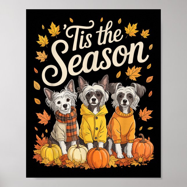 Affiche C'Est La Saison Chien Craché Chinois Automne Pum A (Devant)