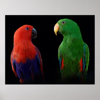 Affiche C'est l'Amour !