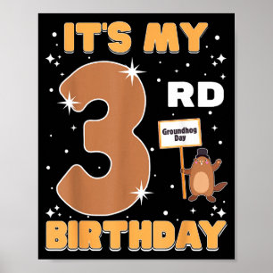 Affiche C'est mon 3ème anniversaire Jour de la marmotte 3