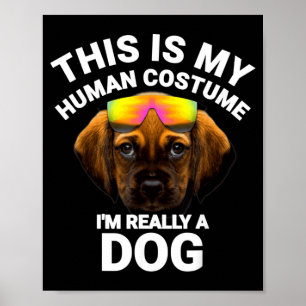 Affiche C'est Mon Costume D'humain Je Suis Un Chien Drôle