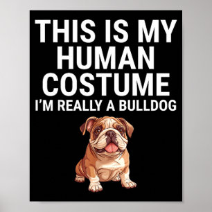 Affiche C'est un costume humain Un chien bouledogue Hallow