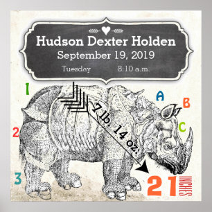 Affiche C'est un garçon ! Nouveau rhinocéros bébé
