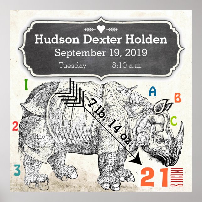 Affiche C'est un garçon ! Nouveau rhinocéros bébé (Devant)