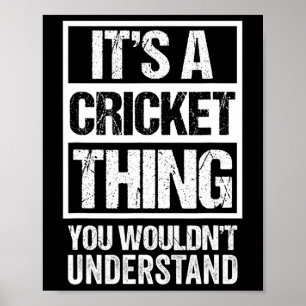 Affiche C'est une chose de cricket que vous ne comprendrie