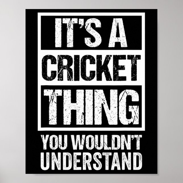 Affiche C'est une chose de cricket que vous ne comprendrie (Devant)