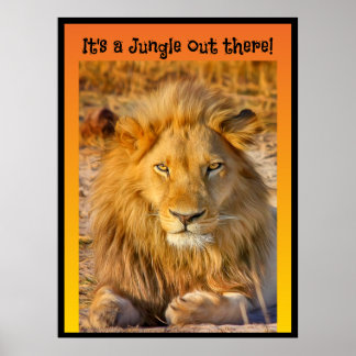 Affiche C'est une Jungle là-bas !
