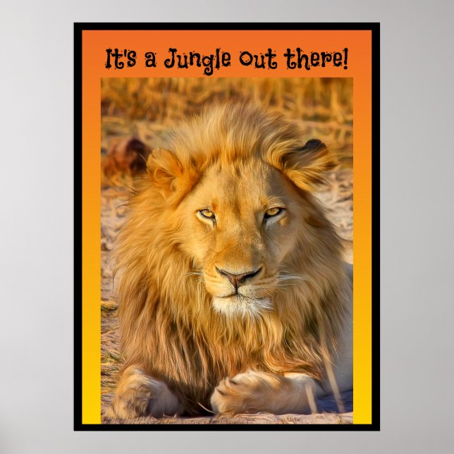 Affiche C'est une Jungle là-bas ! (Devant)