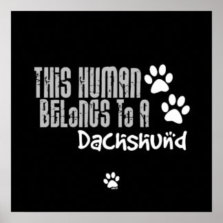 Affiche Cet être humain appartient à un Dachshund