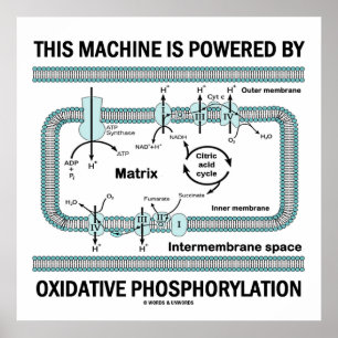Affiche Cette Machine Alimentée Par La Phosphylation Oxida