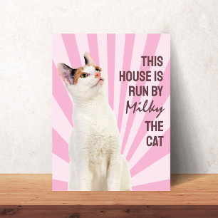Affiche Cette maison est dirigée par l'affiche de chat per