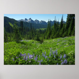 Affiche Chaîne des Cascades depuis le parc national du mon