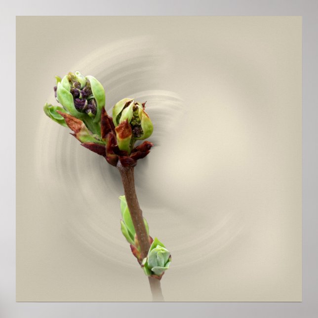 Affiche chaleur du printemps (Devant)