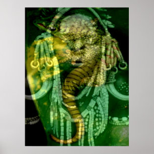 Affiche Chaman reptilien 2