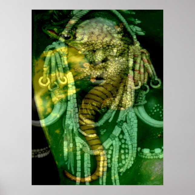 Affiche Chaman reptilien 2 (Devant)
