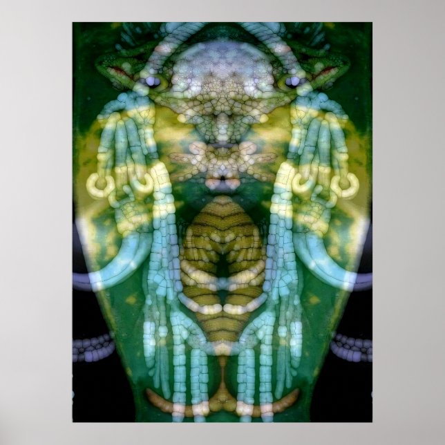 Affiche Chaman Reptilien 3 (Devant)