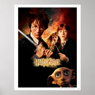 Affiche Chamber of Secrets - French