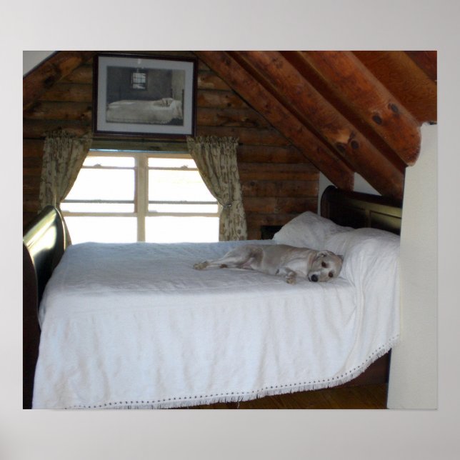 Affiche Chambre de maître (Devant)