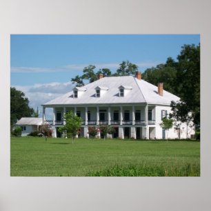 Affiche Chambre de plantation