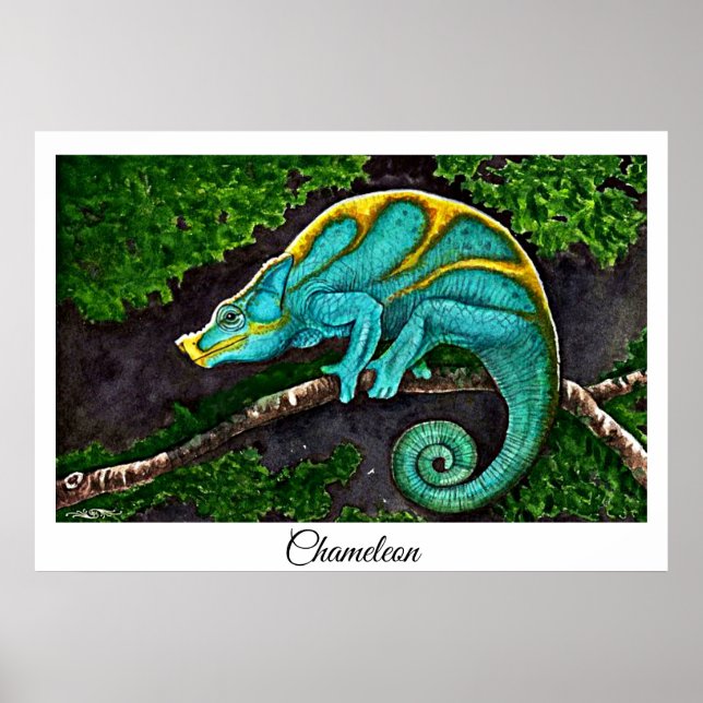 Affiche Chameleon Life (Devant)