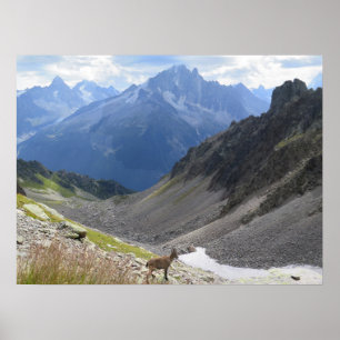 Affiche Chamonix Ibex