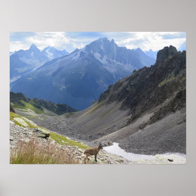 Affiche Chamonix Ibex (Devant)