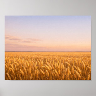 Affiche Champ de blé doré au coucher de soleil pastel Pays
